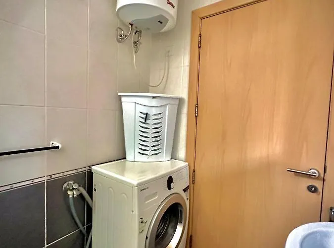 Dhalia - St. Julians