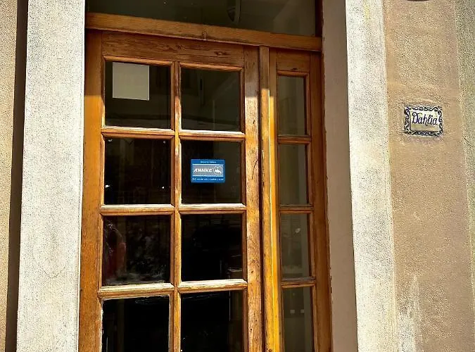 Dhalia - St. Julians *